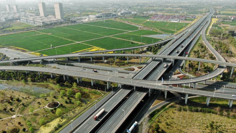 春光瀲滟“龍舒城”（組圖）